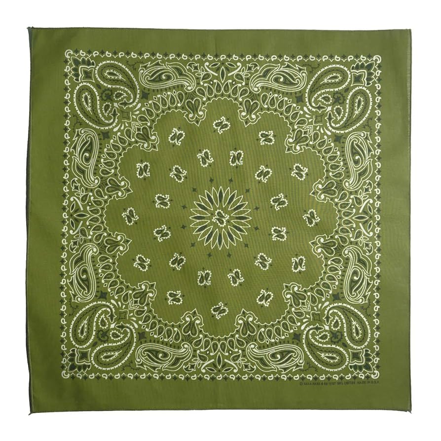 HAV-A-HANK ペイズリーバンダナ 20枚セット HAV-A-HANK｜ハバハンクの通販 アメリカ製ペイズリーバンダナ